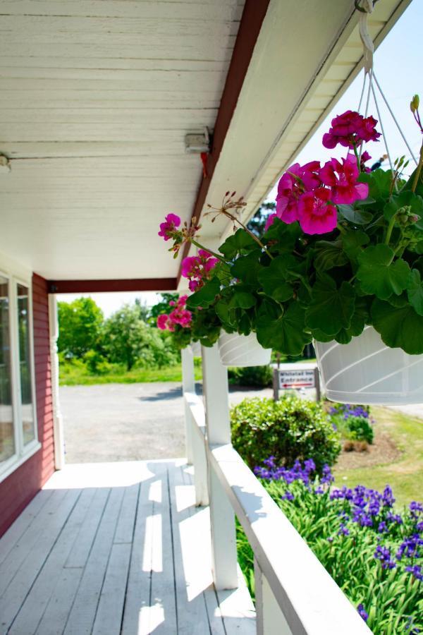 The Whitetail Inn And Suites- Lincoln Exterior foto